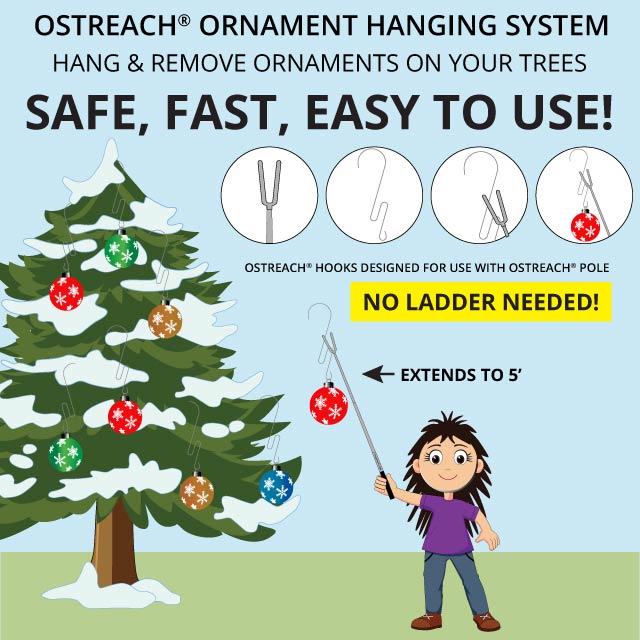 Ornament Hanging On Outdoor Pine Trees
